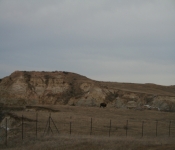 Thanksgiving 2008 112